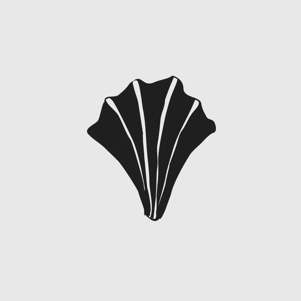 Black and white illustration of a seashell with ridges.