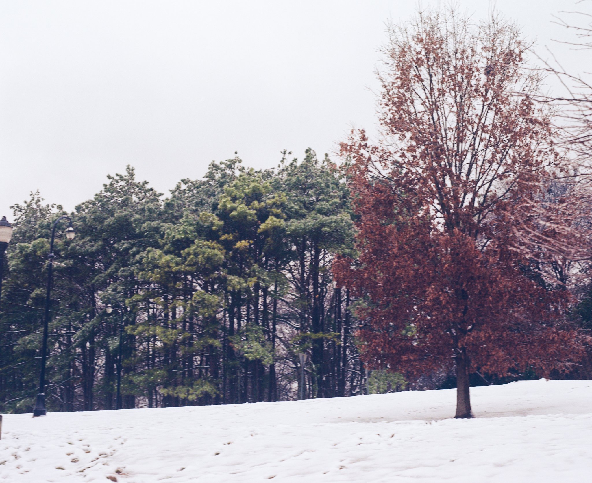 SnowInAtlanta-6.JPG
