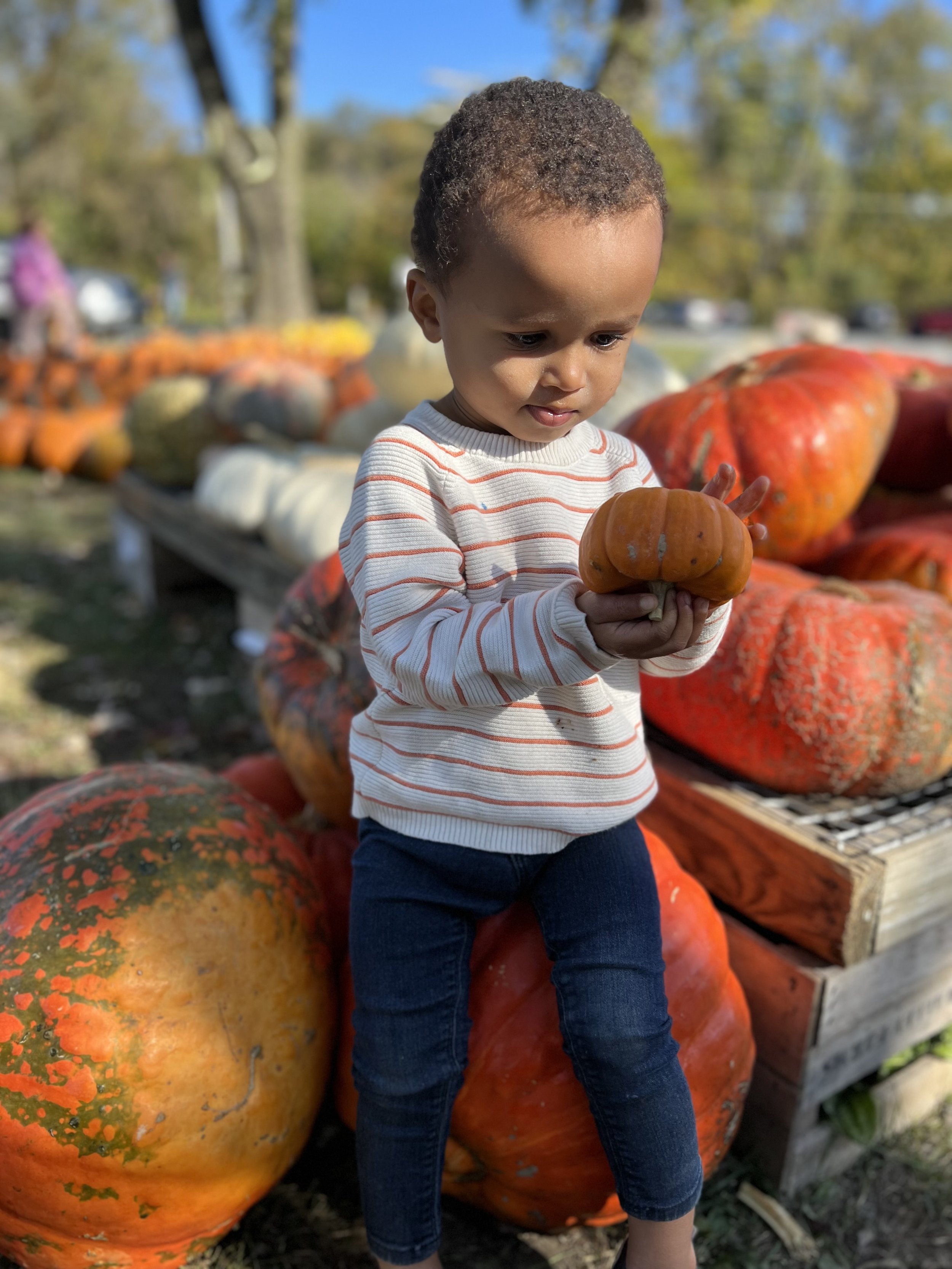 Why Is Feeding My 2 Year Old Suddenly So Difficult? — Tiny+Mighty Eaters