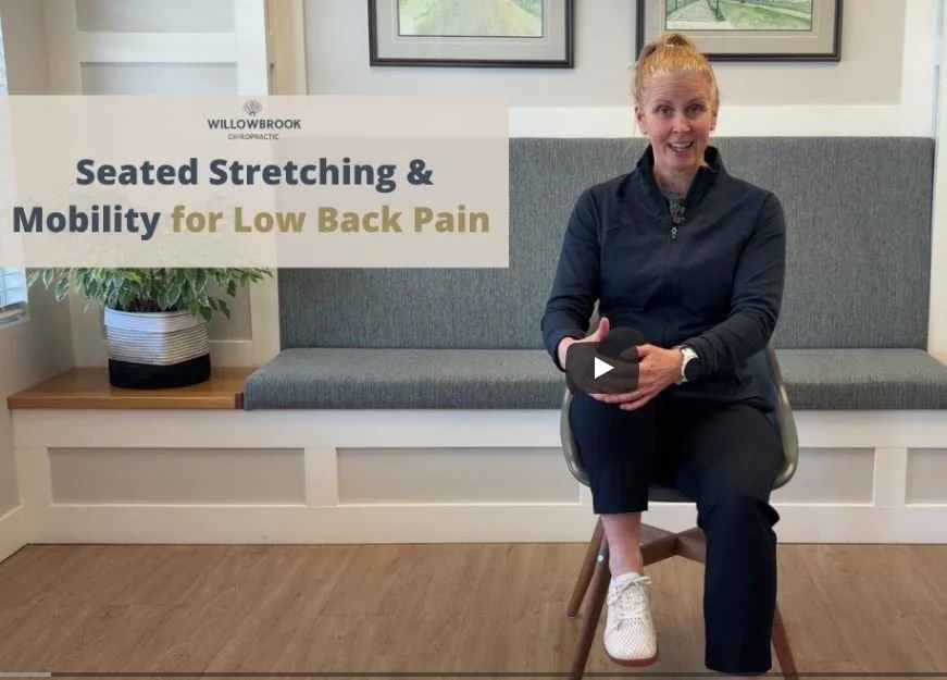 Seated Stretching for Low Back Pain