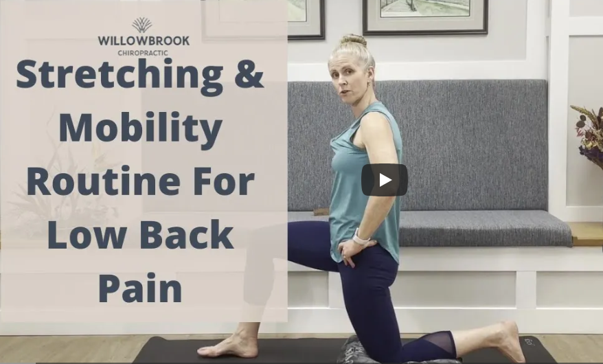 Stretching &amp; Mobility Routine for Low Back Pain