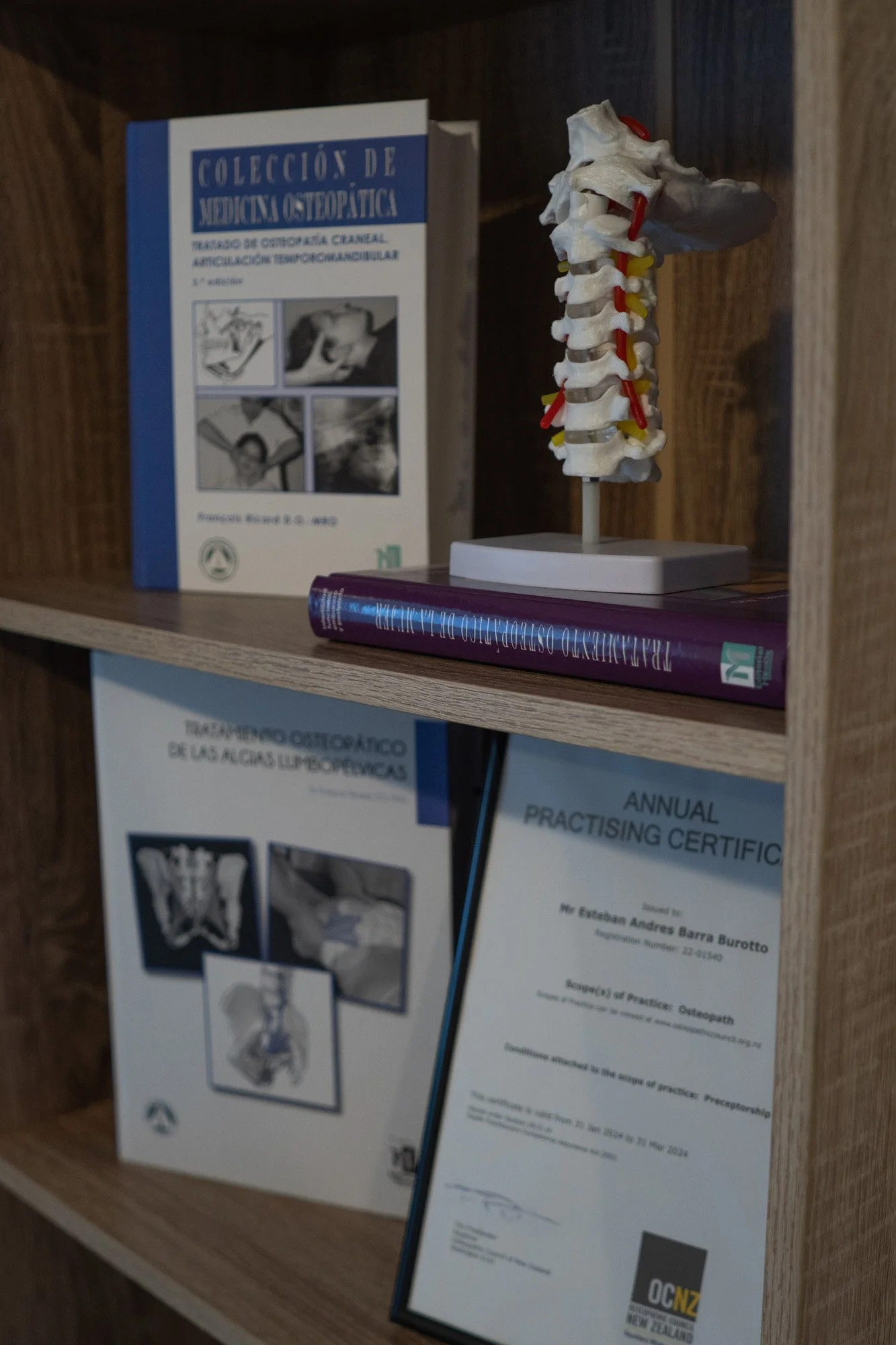 Esteban Osteo1-5.jpg