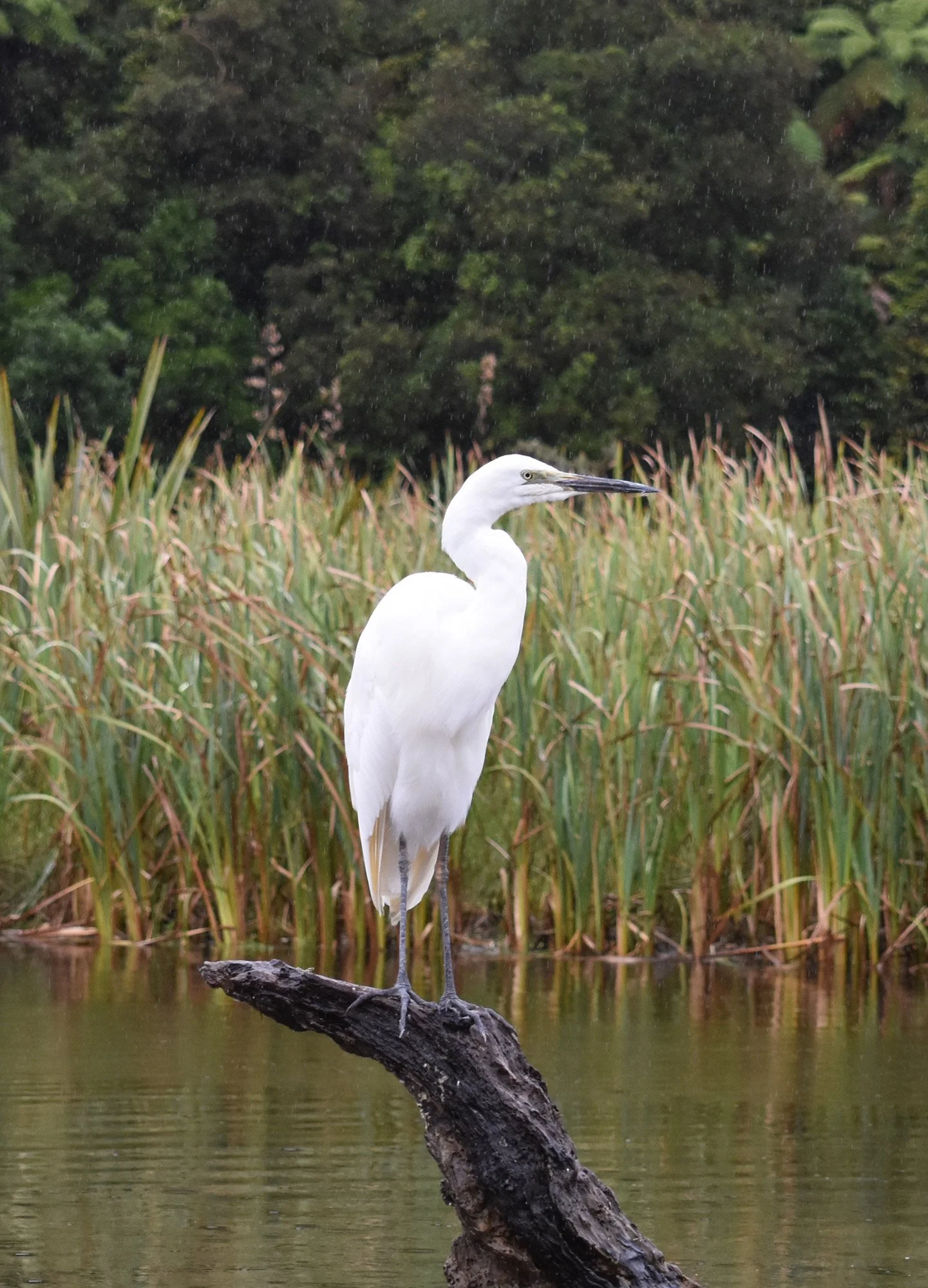 Glacier Kayaks-33.jpg