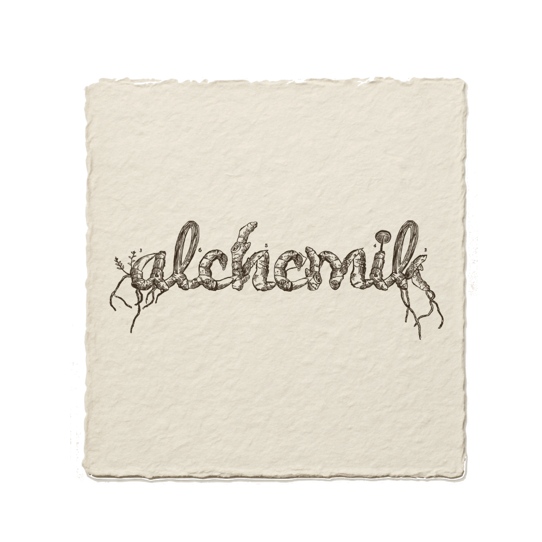 ALCHEMIK – MENTAL HEALTH PRACTICE WEBSITE DESIGN, BRANDING &amp; SEO