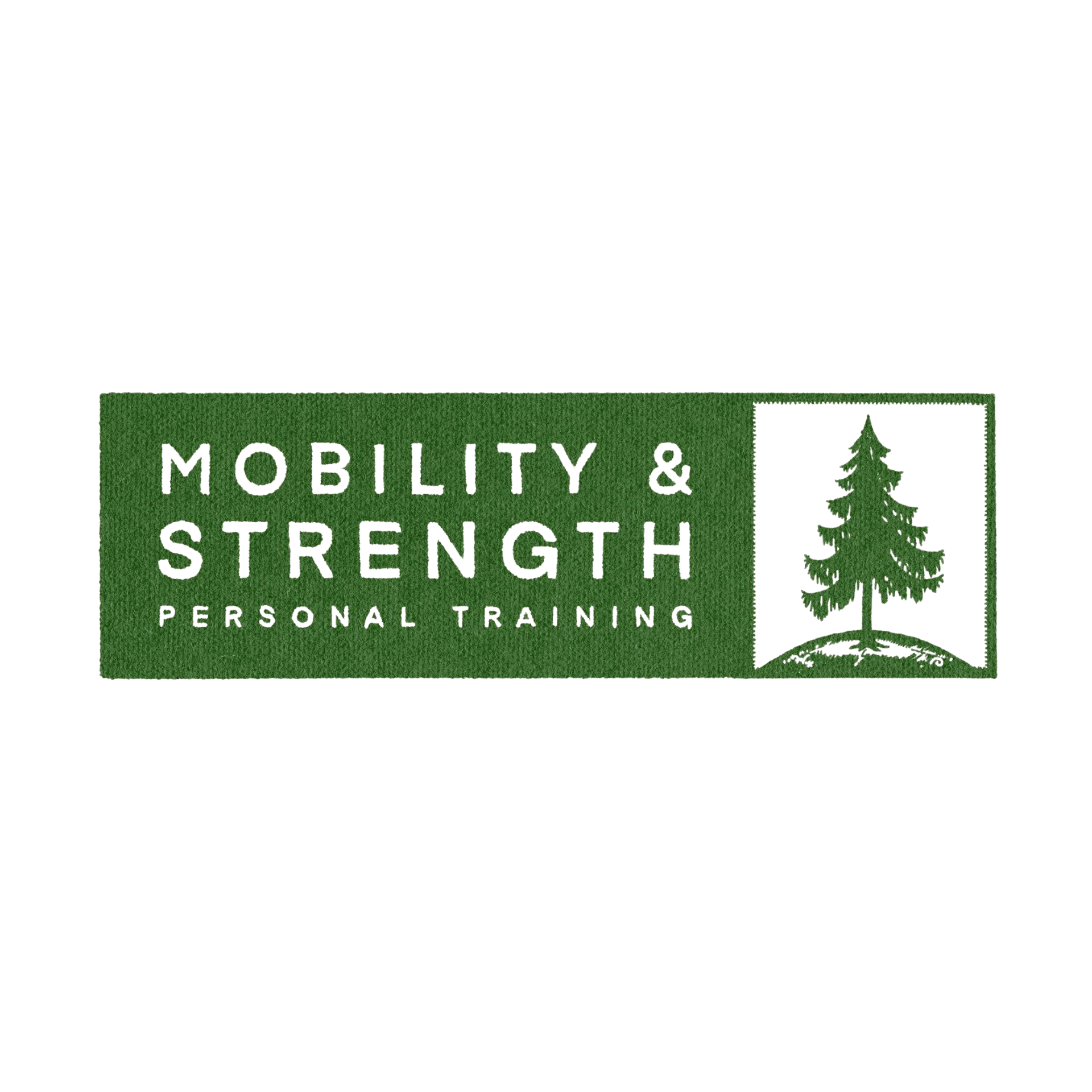 MOBILITY STRENGTH PT – SQUARESPACE WEBSITE DESIGN, SEO &amp; LOGO DESIGN