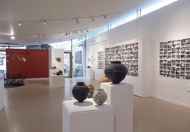 Rippon : Jubilee Gallery, MakeSouthwest, November 22/ January 23
A collaboration with printmaker Anita Reynolds