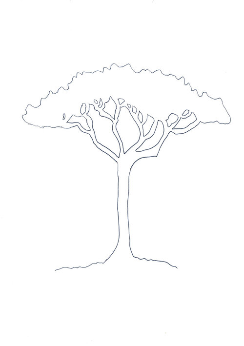 Tree-web.jpg