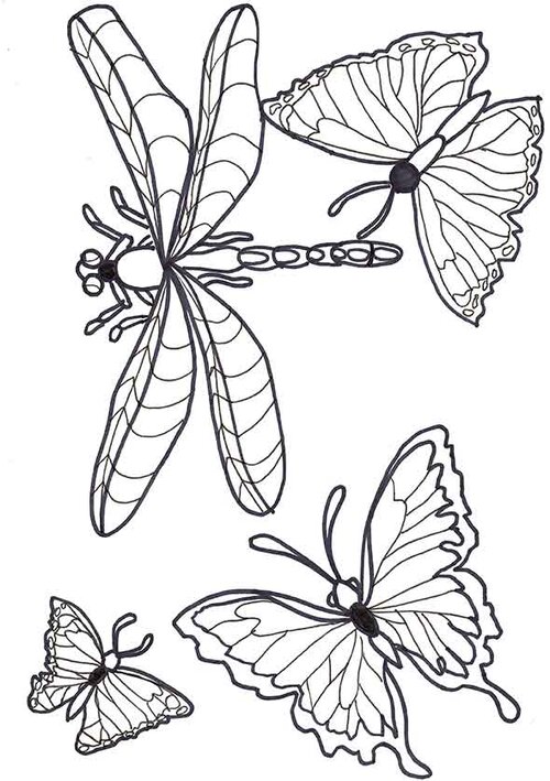 Dragonflies-&-Butterflies.jpg