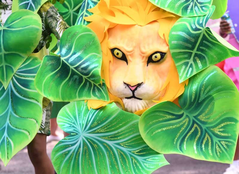 Single-Lion#.jpg