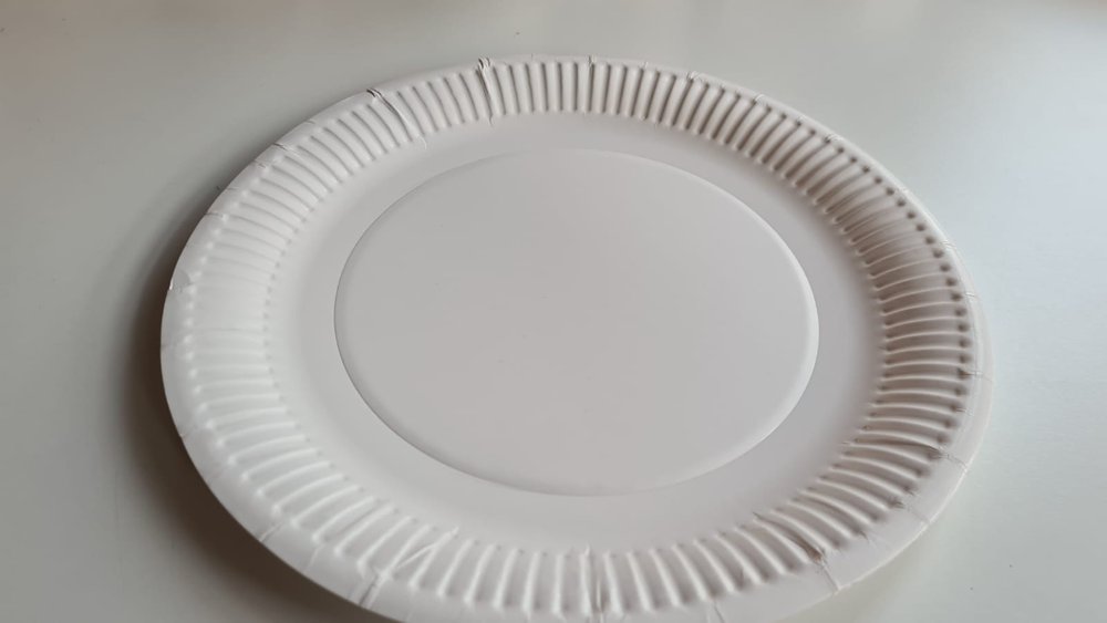 A white paper plate