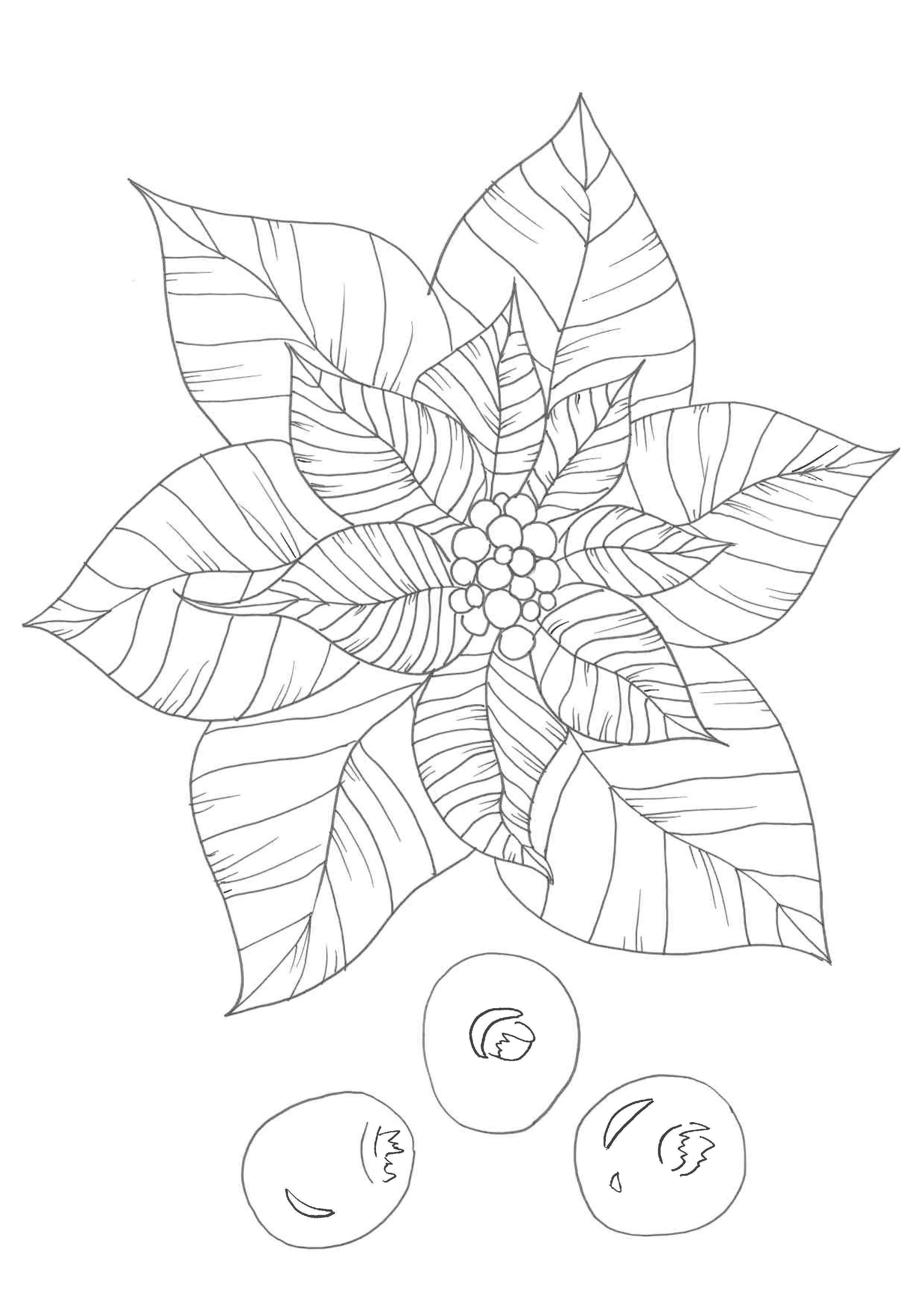Poinsettia and berries template