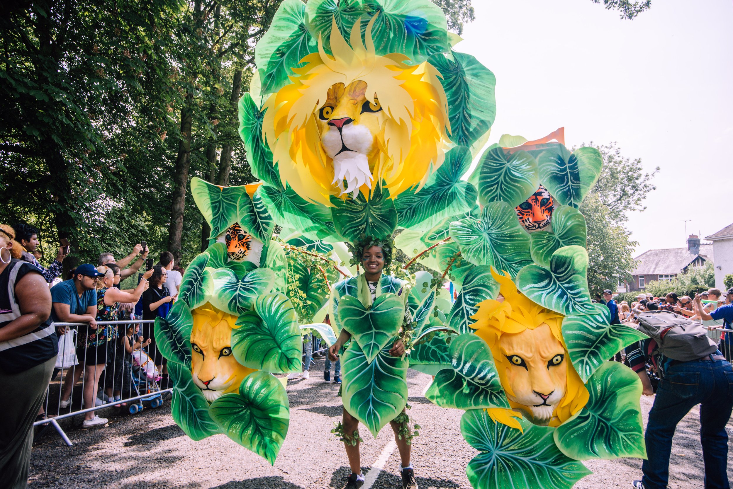 Lion carnival costume