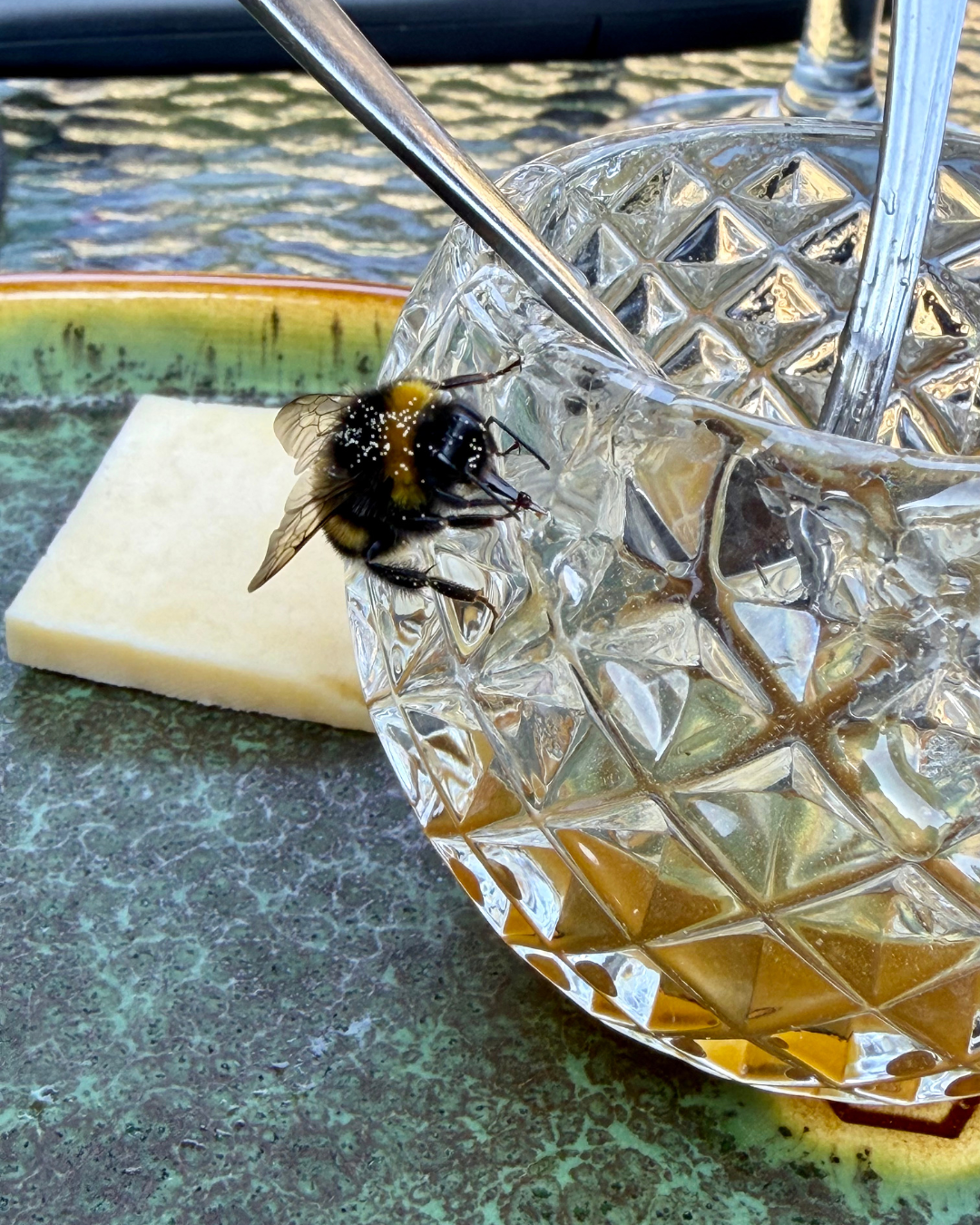 Honey for the Invisible