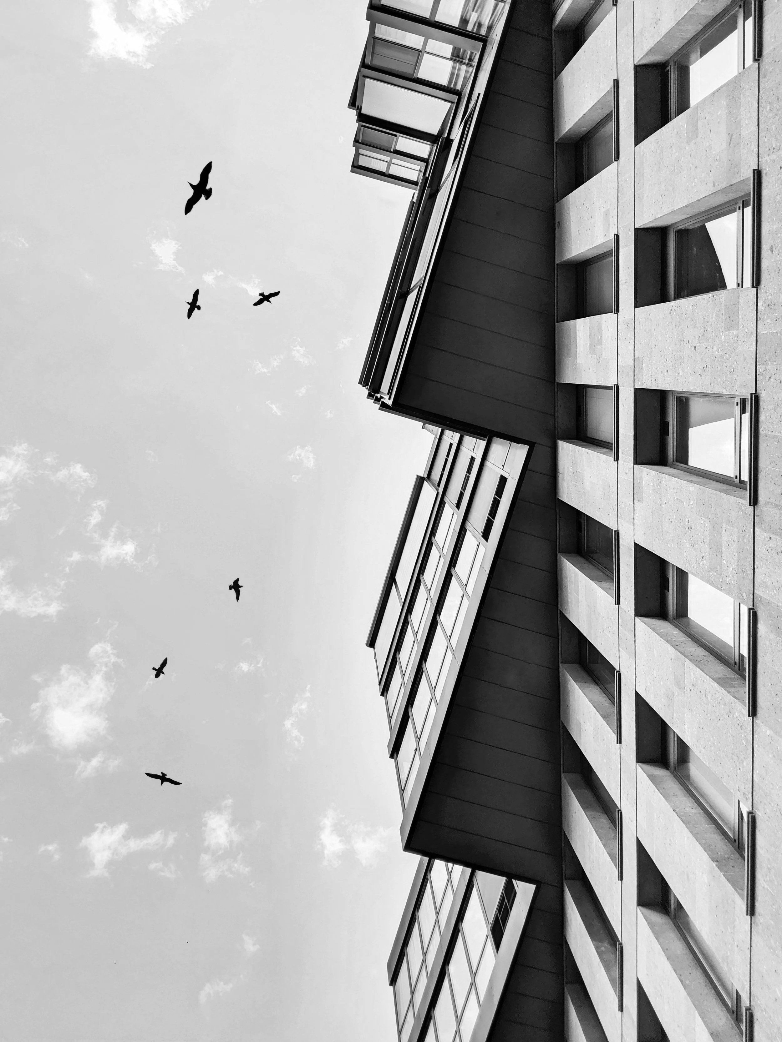 Build the Right Habits