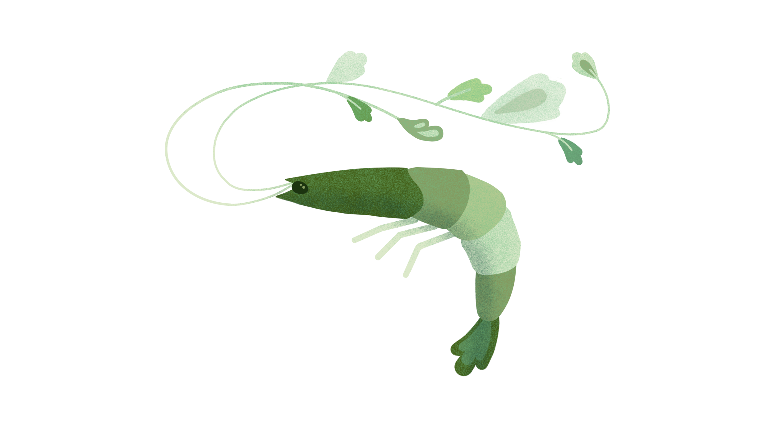 SHRIMP VEGAN STILL.png