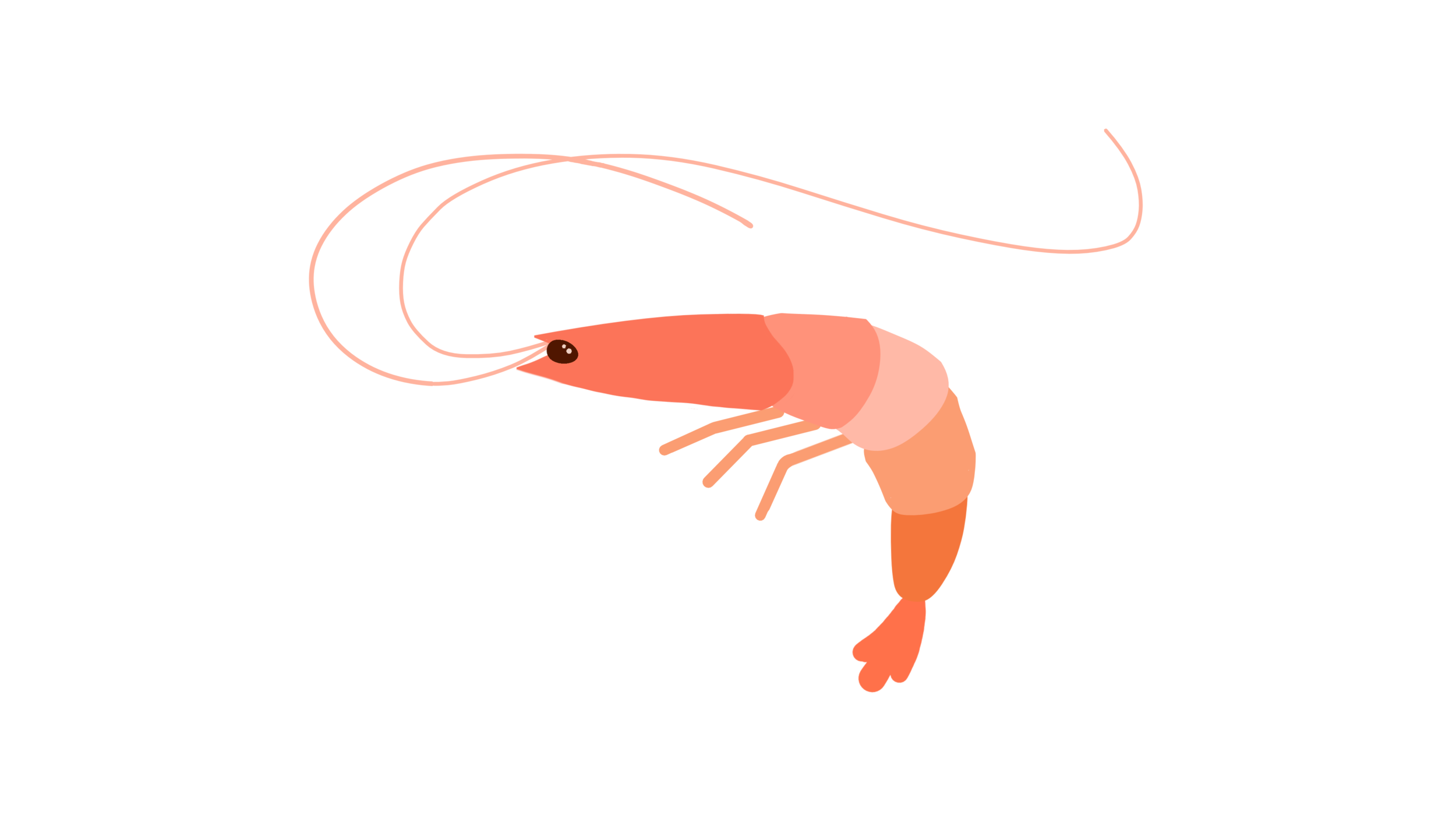 SHRIMP STILL.png