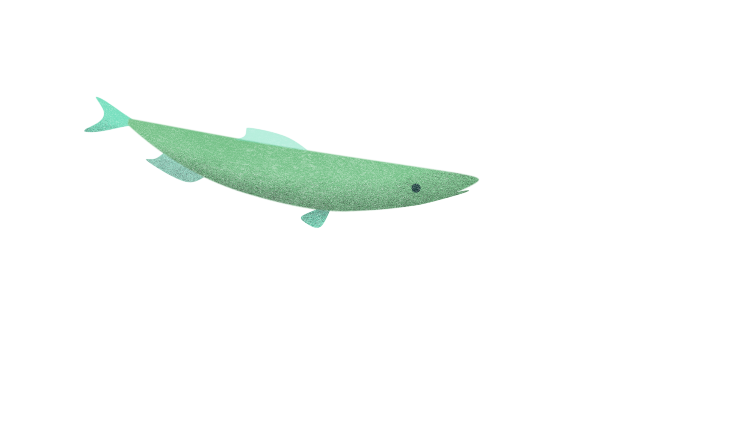 FISH STILL 1.png