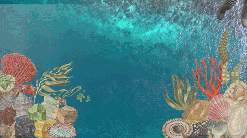 834d4a120246587.60f02e8606b00.gif
