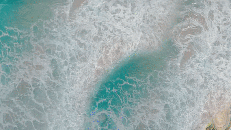 ezgif.com-optimize.gif