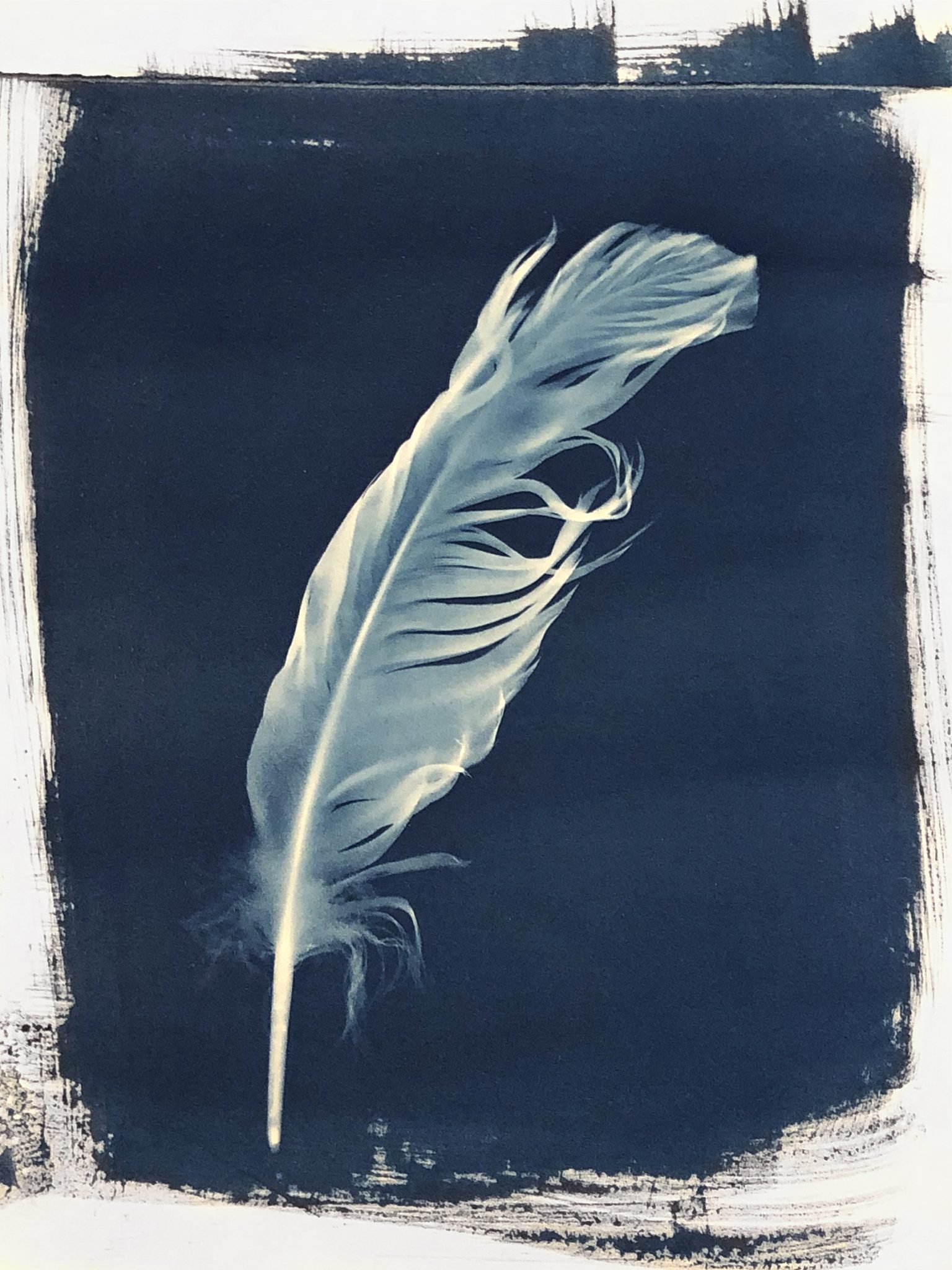cyanotype workshop 3.jpeg