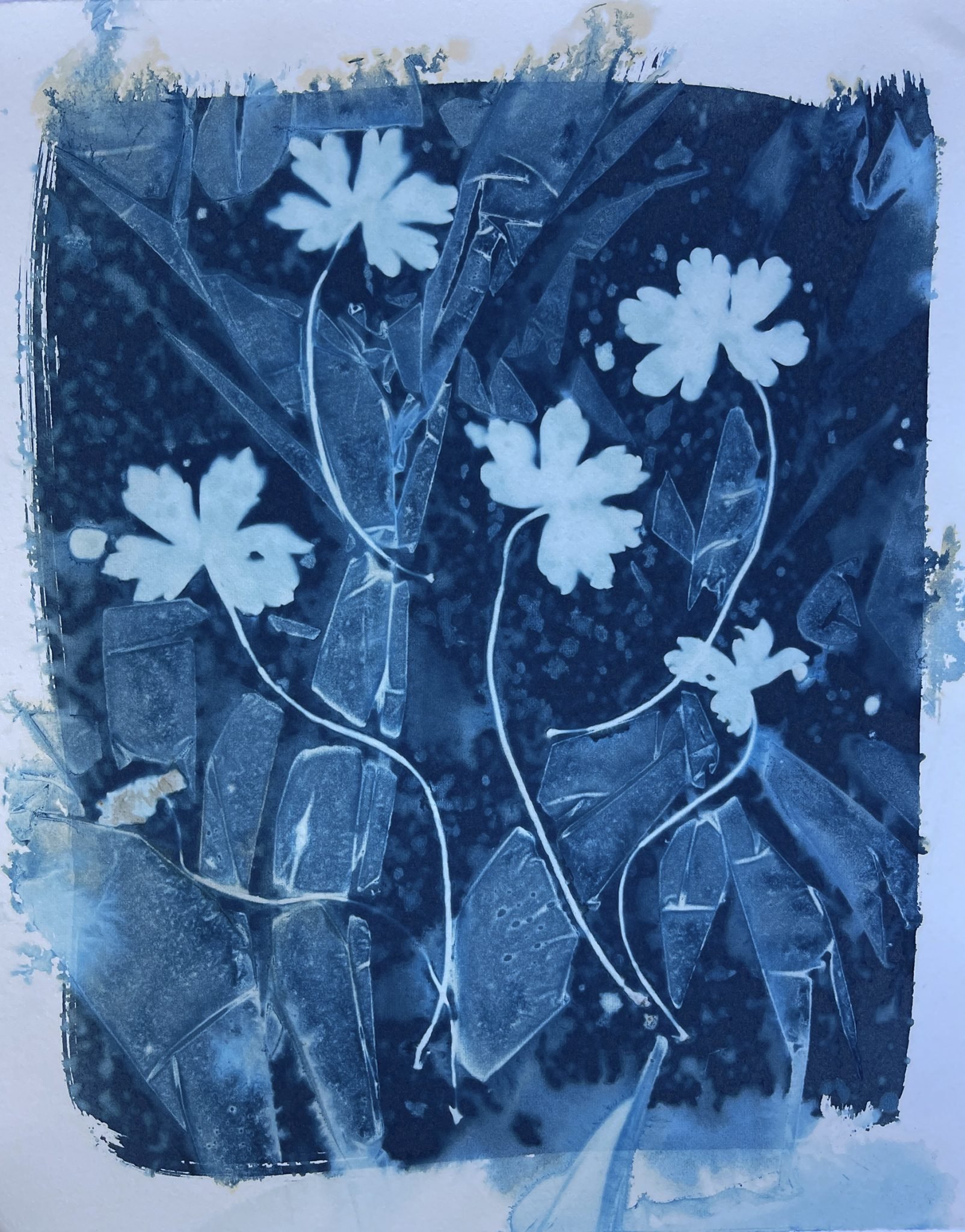 cyanotype workshop 2.jpeg