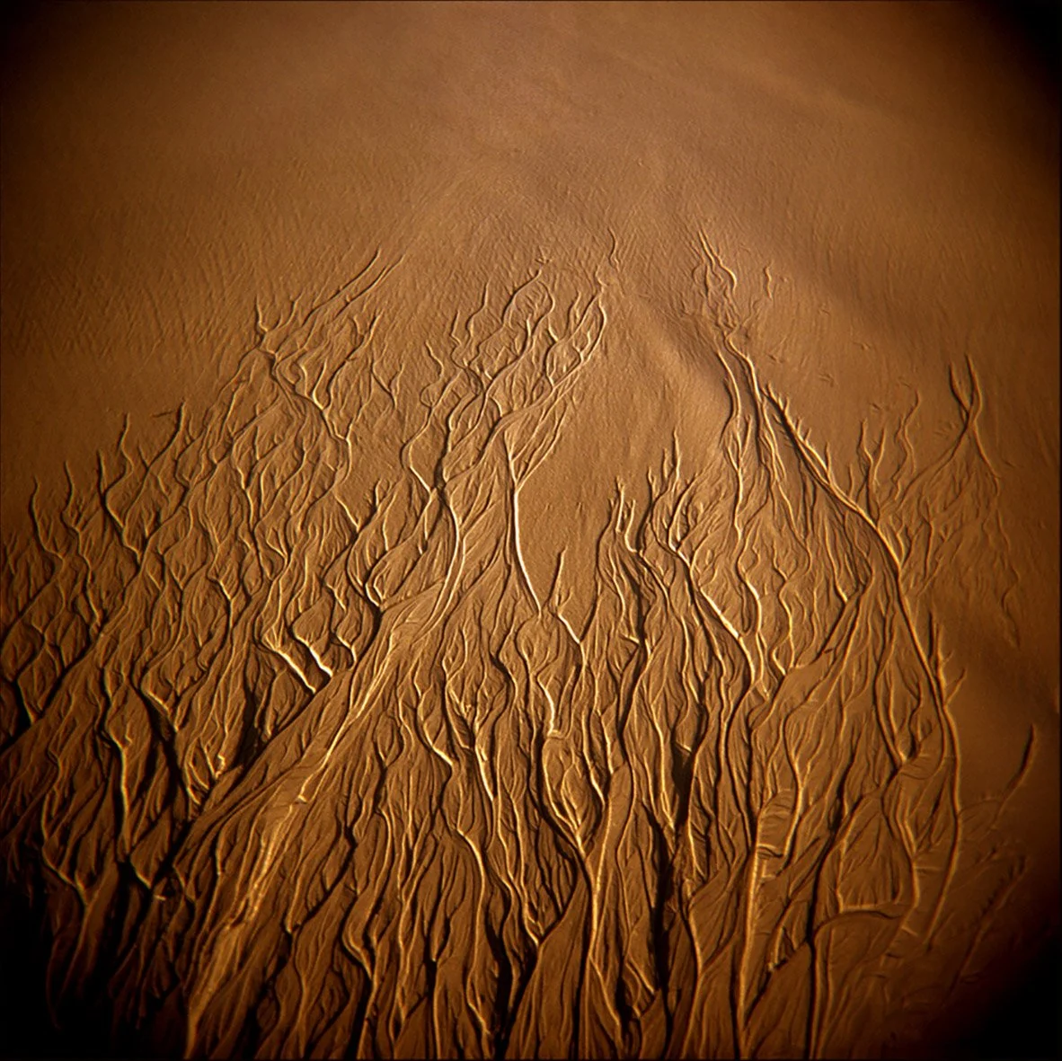 Growing or Burning.jpg