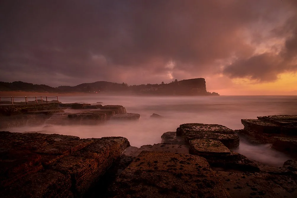 Avalon Seal — Avalon Beach
