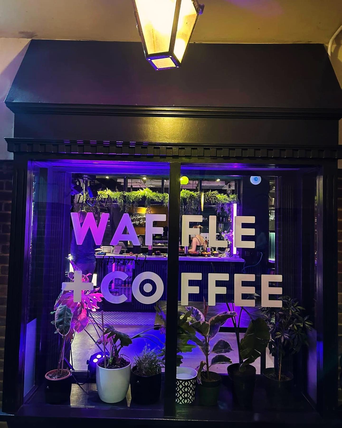 🌙✨ Cafe by day, bistro by night! 

Waffle+Coffee is will be opening every Friday evening until 10pm🌟 Picture this: cozy corners, twinkling lights and some awesome low key music courtesy of @larocheoriginal. 

Gather your favourite people and join u