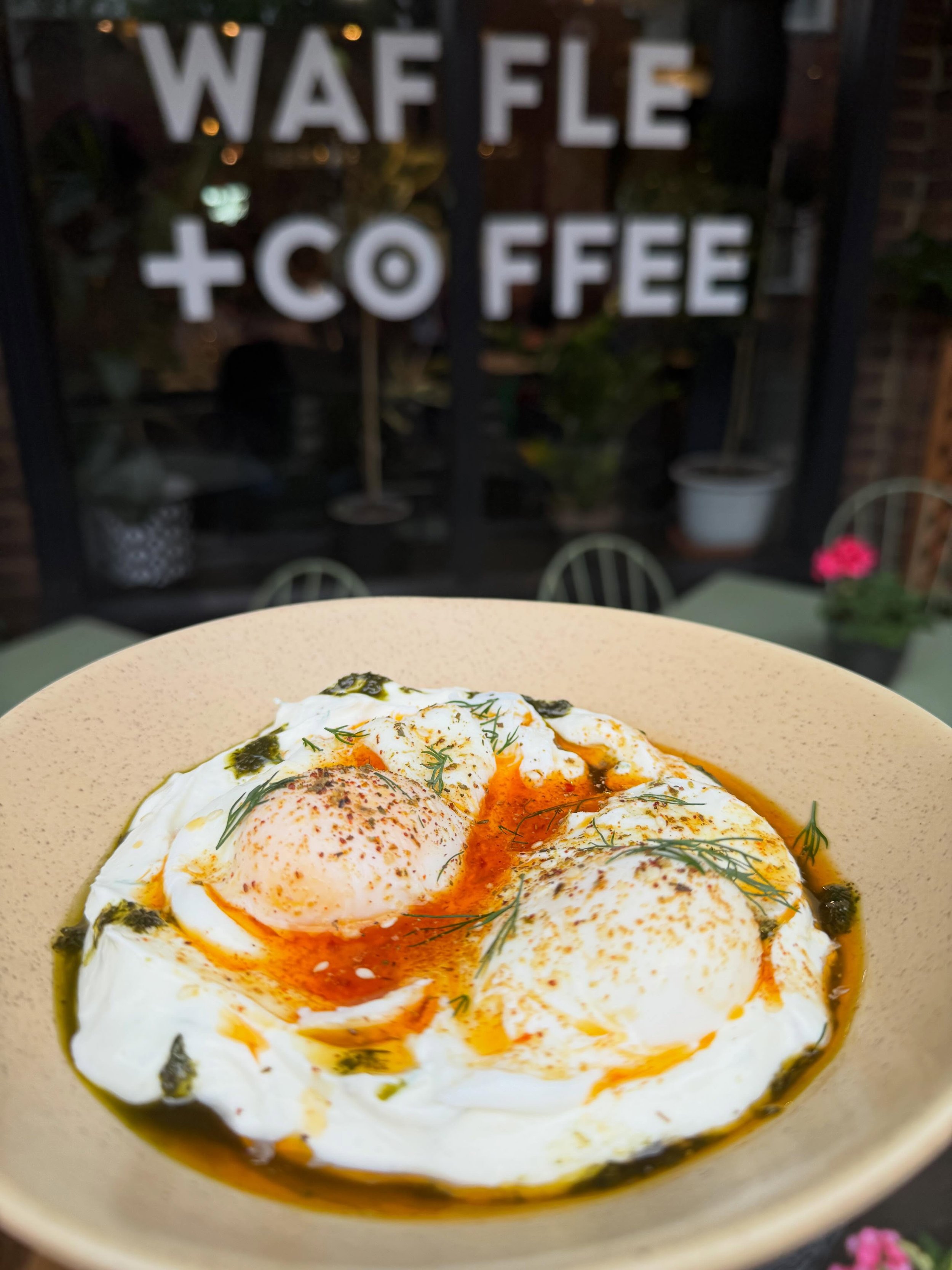 NEW ON THE MENU 👀

Turkish Eggs have landed.

Creamy garlic yoghurt, perfectly poached eggs, chilli butter, fresh herbs and za&rsquo;atar, served with your choice of toasted sourdough or waffle for dipping.

Trust us, this one&rsquo;s a bit special.