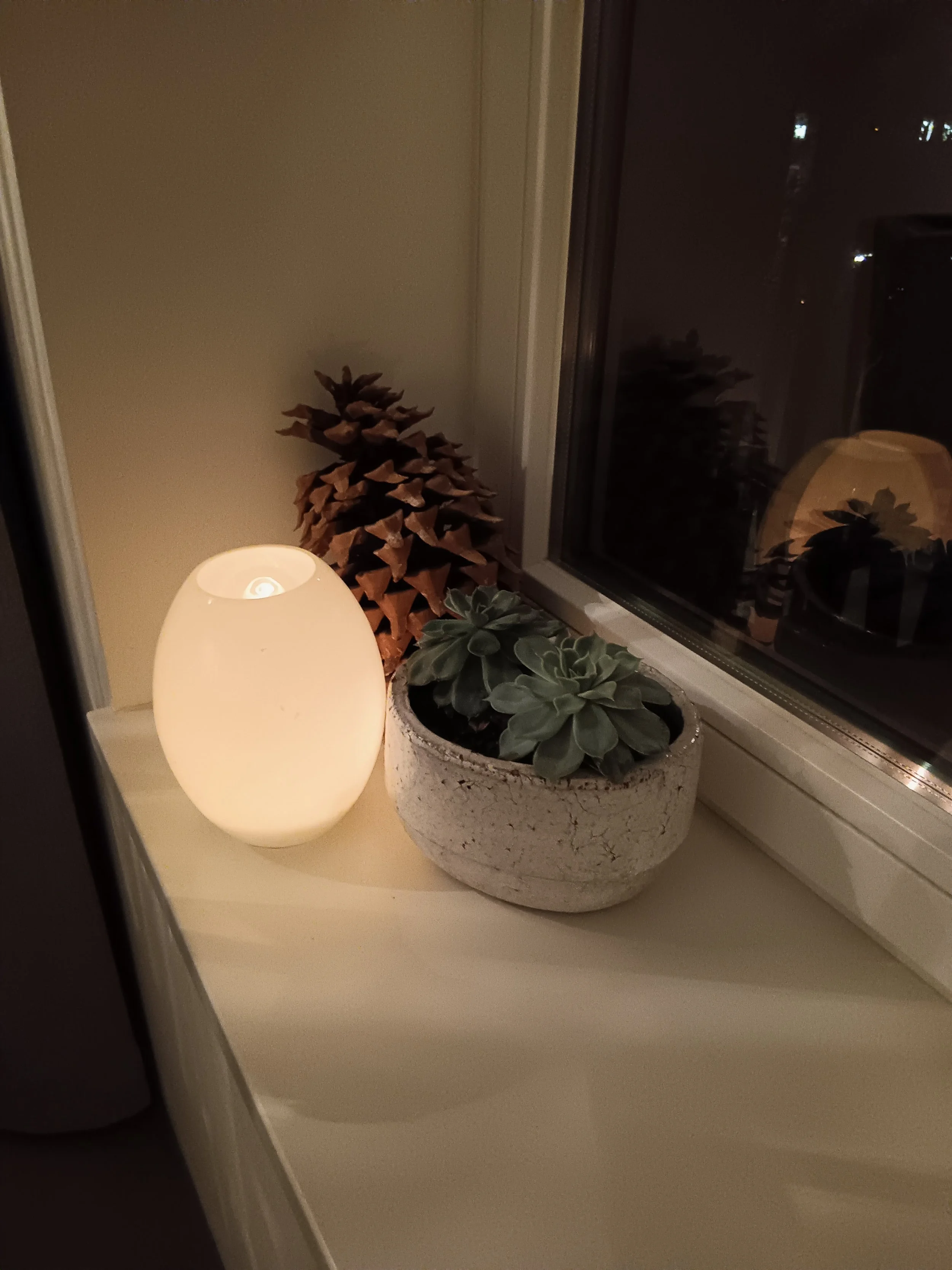20251204_173300.jpg