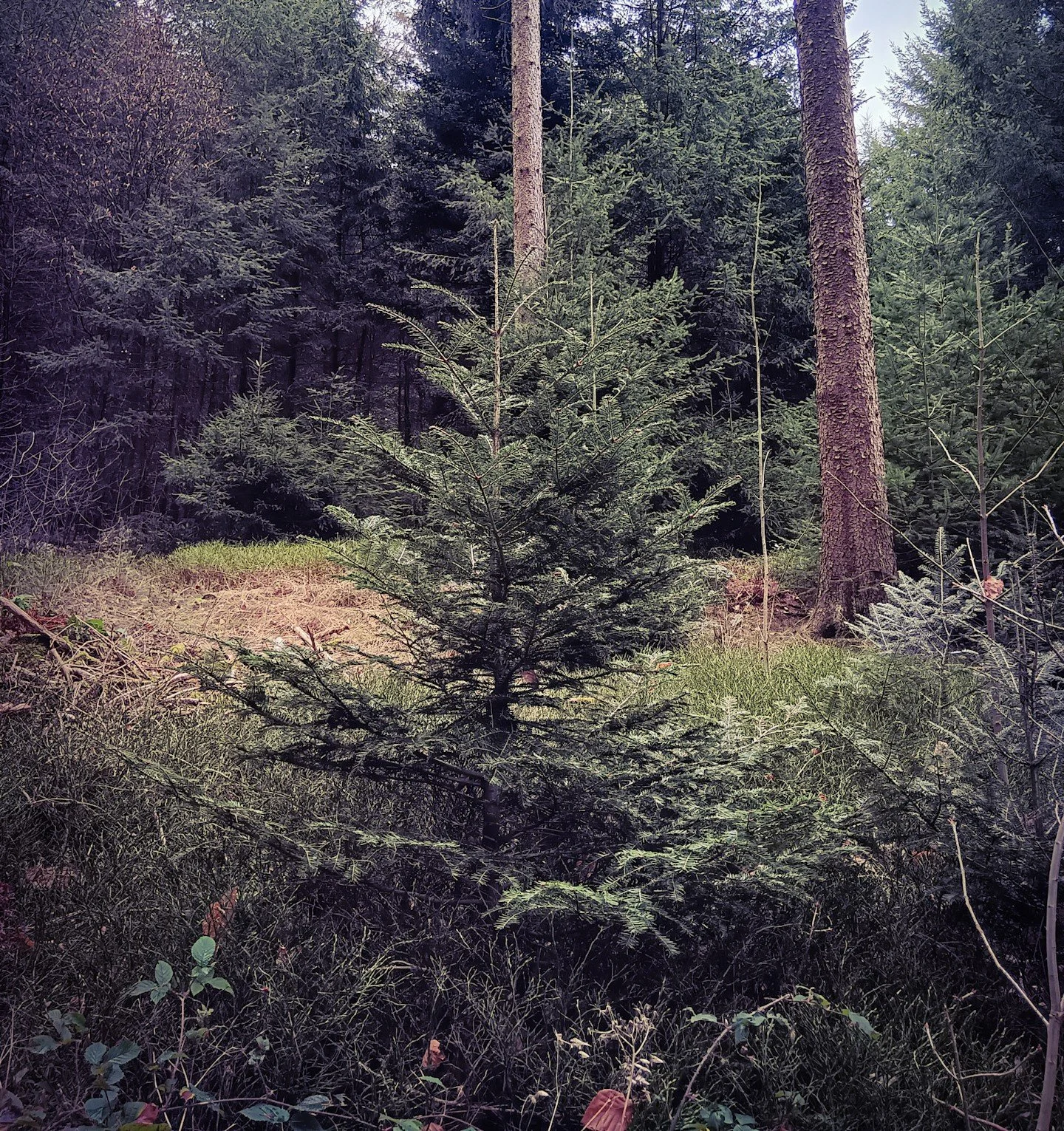 20251220_143416 - Kopie.jpg