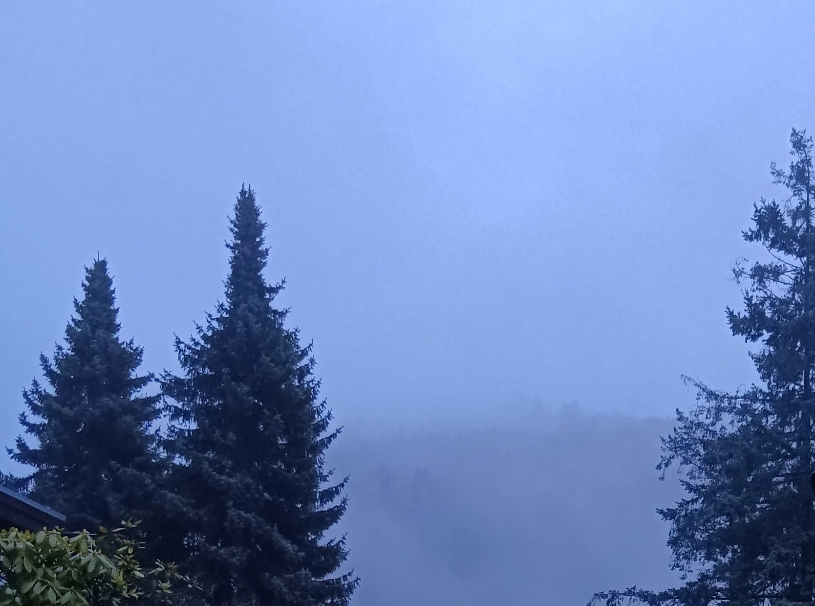 Die Magie der Rauhnächte