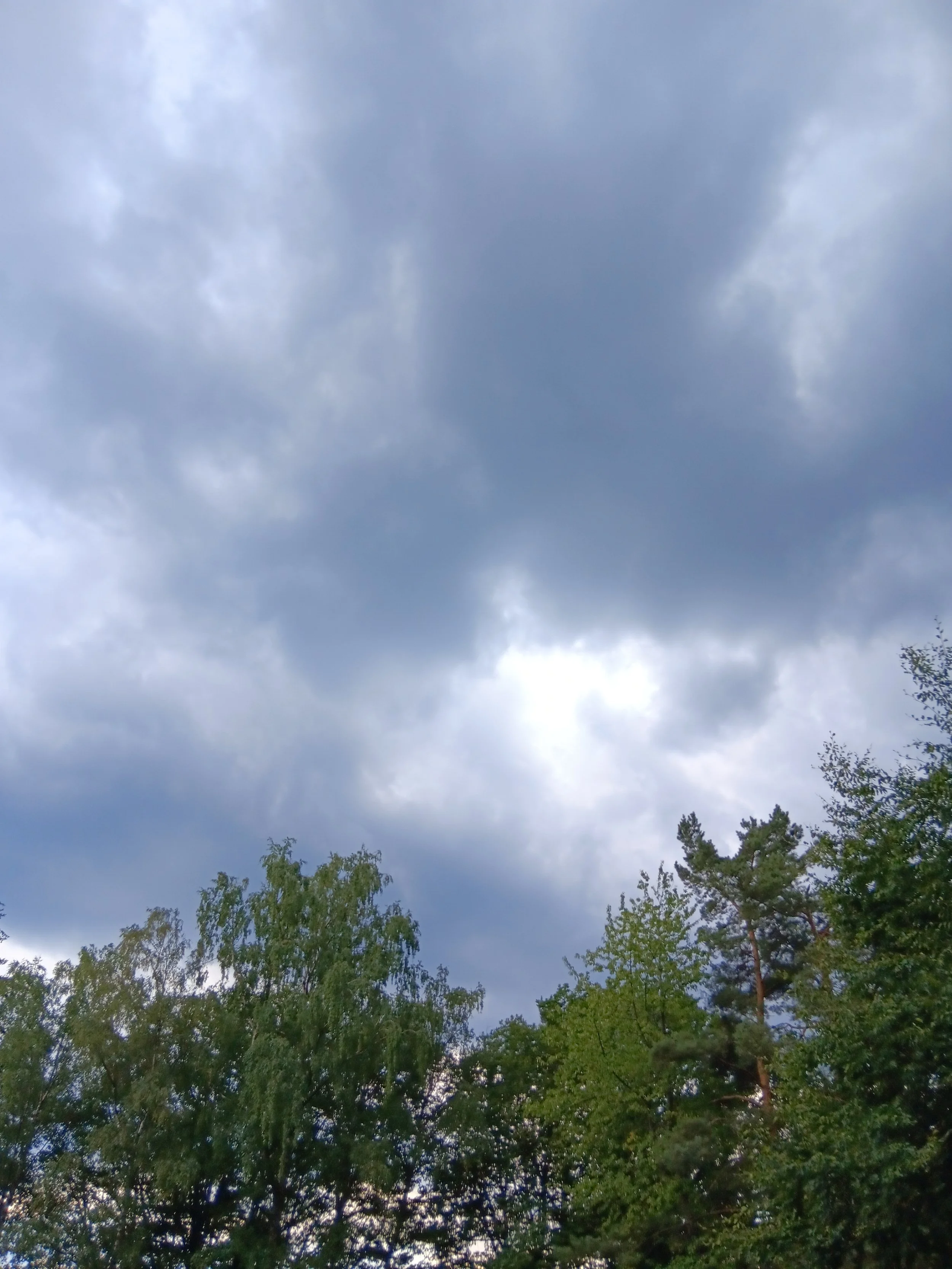 20260717_162507.jpg