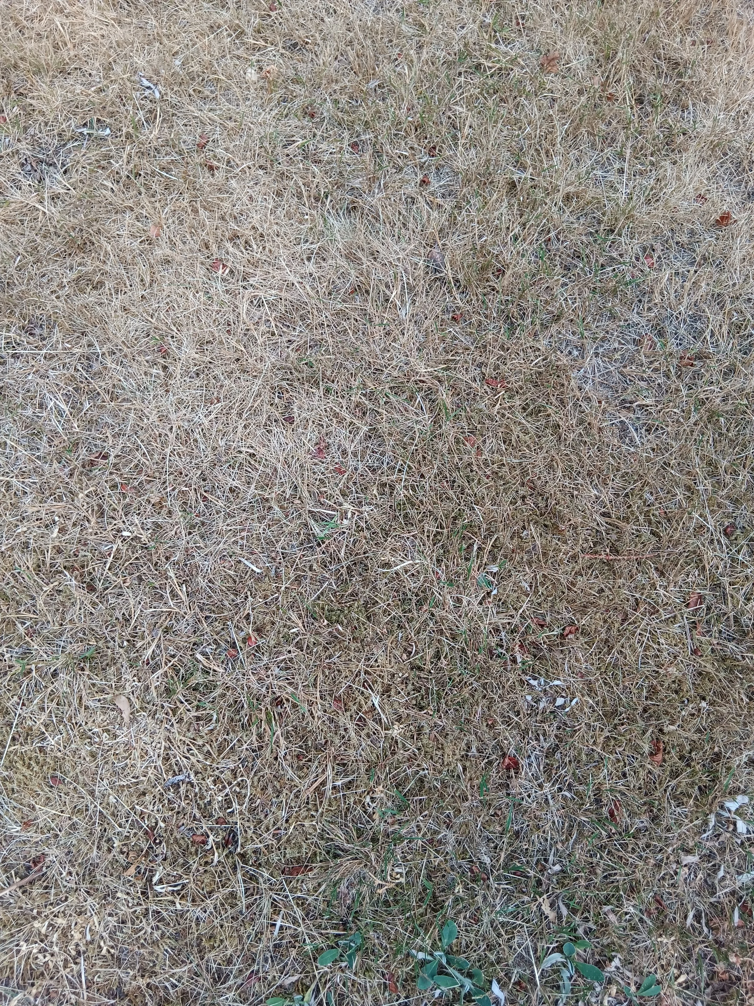 20260717_162524.jpg