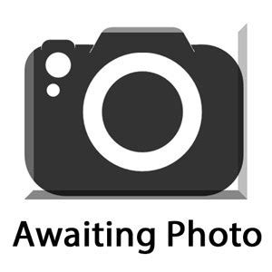 West Highland Terrier