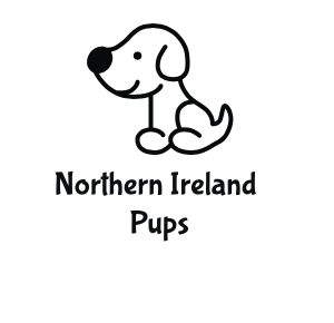 Northern Ireland Pups