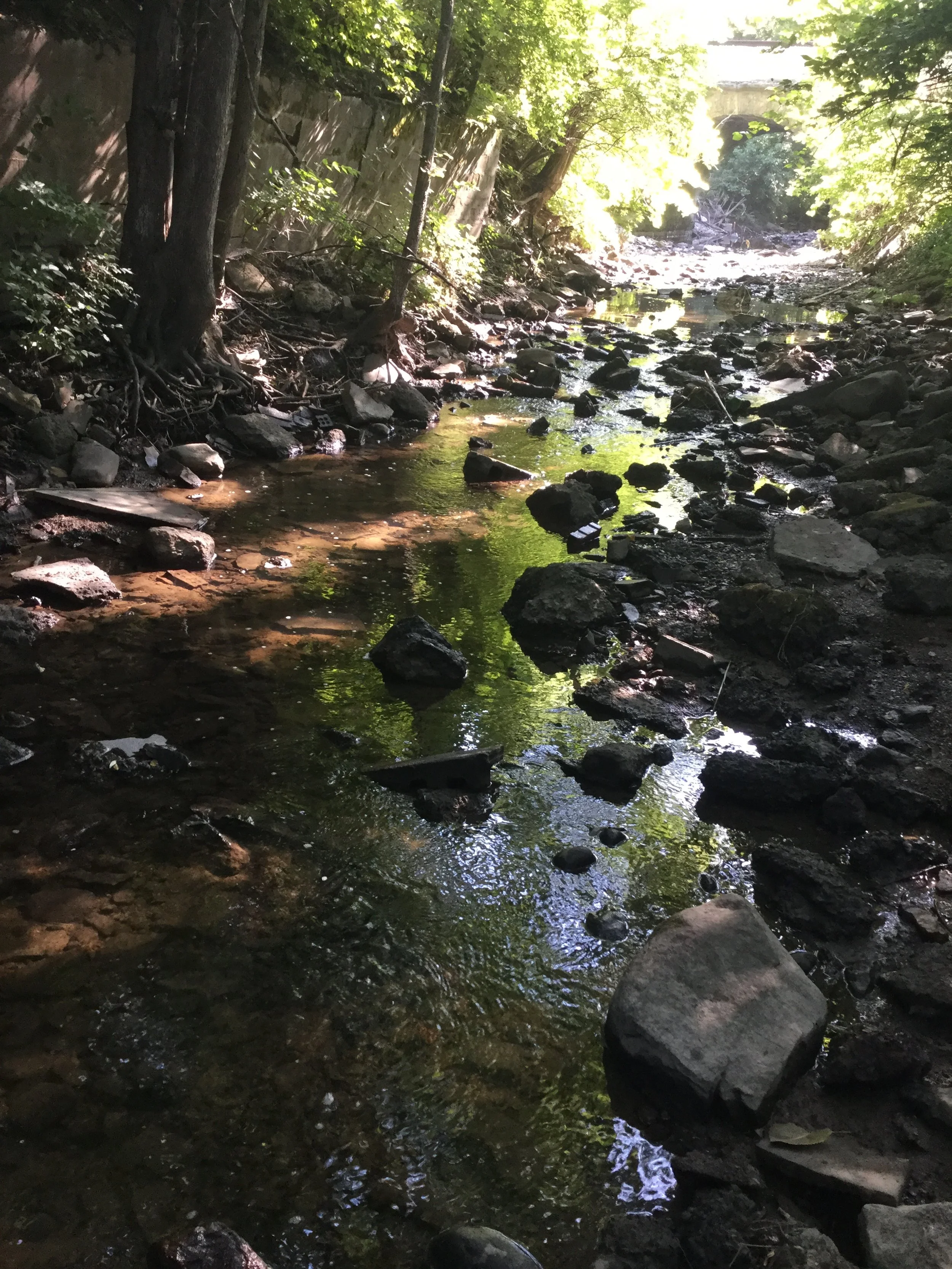 Greenwood Stormwater