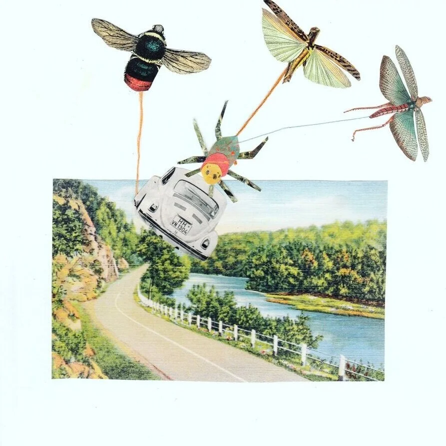 Bug Rescue, 2020.
Found Paper on Paper. 
