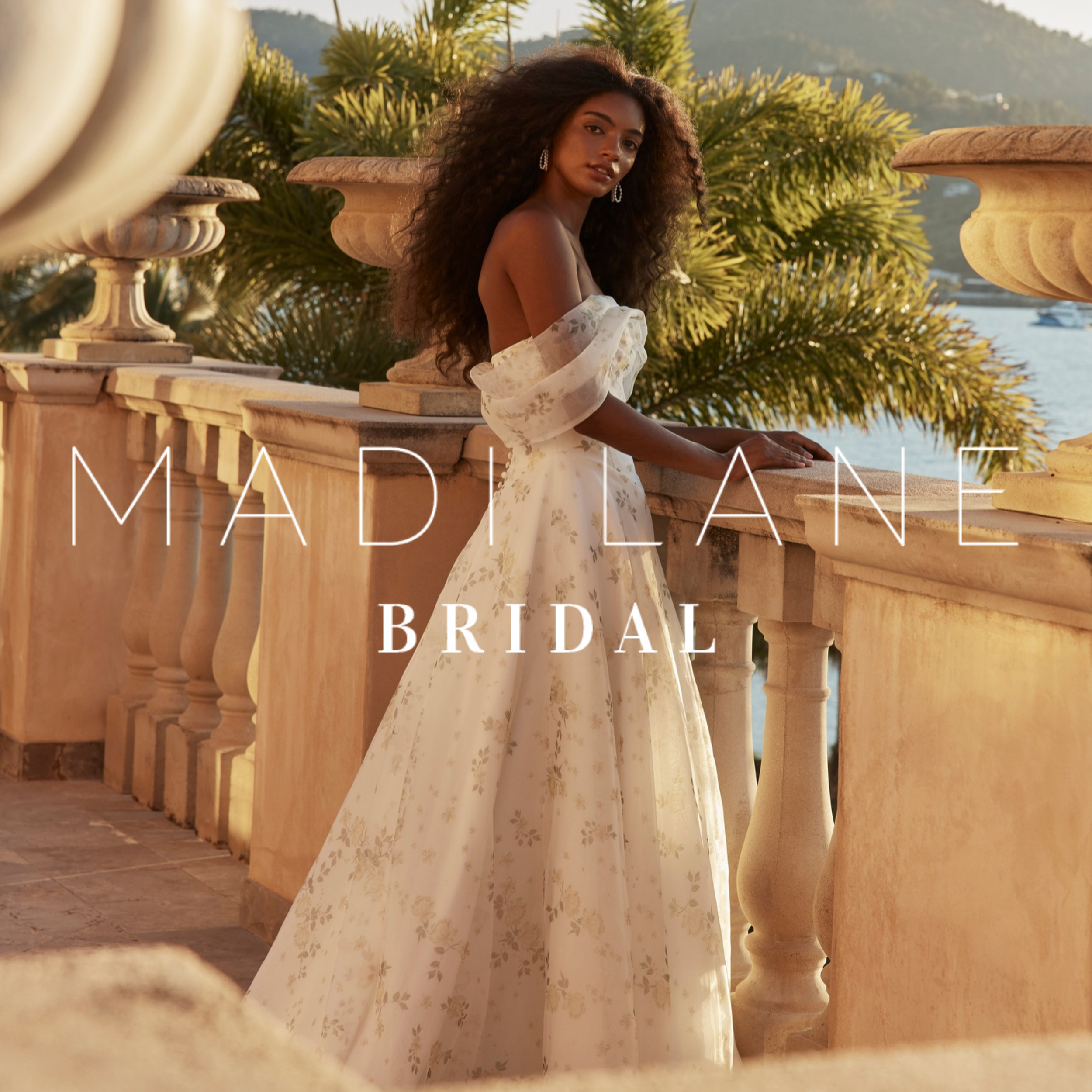 MADI LANE TRUNK SHOW