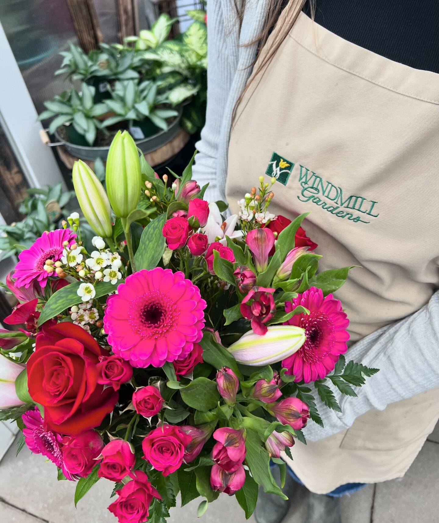 It&rsquo;s not too late to order flowers for your Valentine! 💌 

To Order:
&bull; Give us a call at (253)891-7631
&bull; Order online at https://windmillfloralstudio.net
&bull; Or stop by our shop in town! We&rsquo;re open 9-5 daily.

@windmill_flor