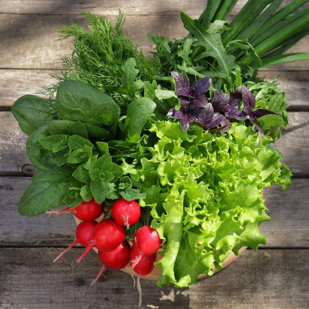 veg-crops-early-spring.jpg