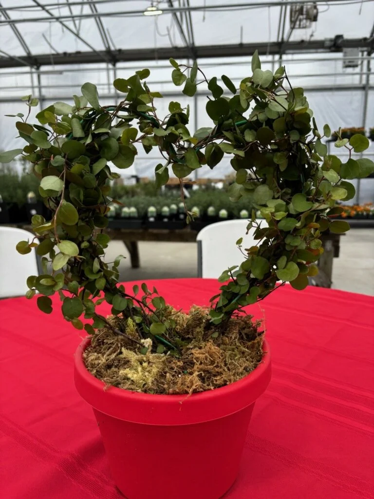 Galentines or Valentines Topiary Make and Take