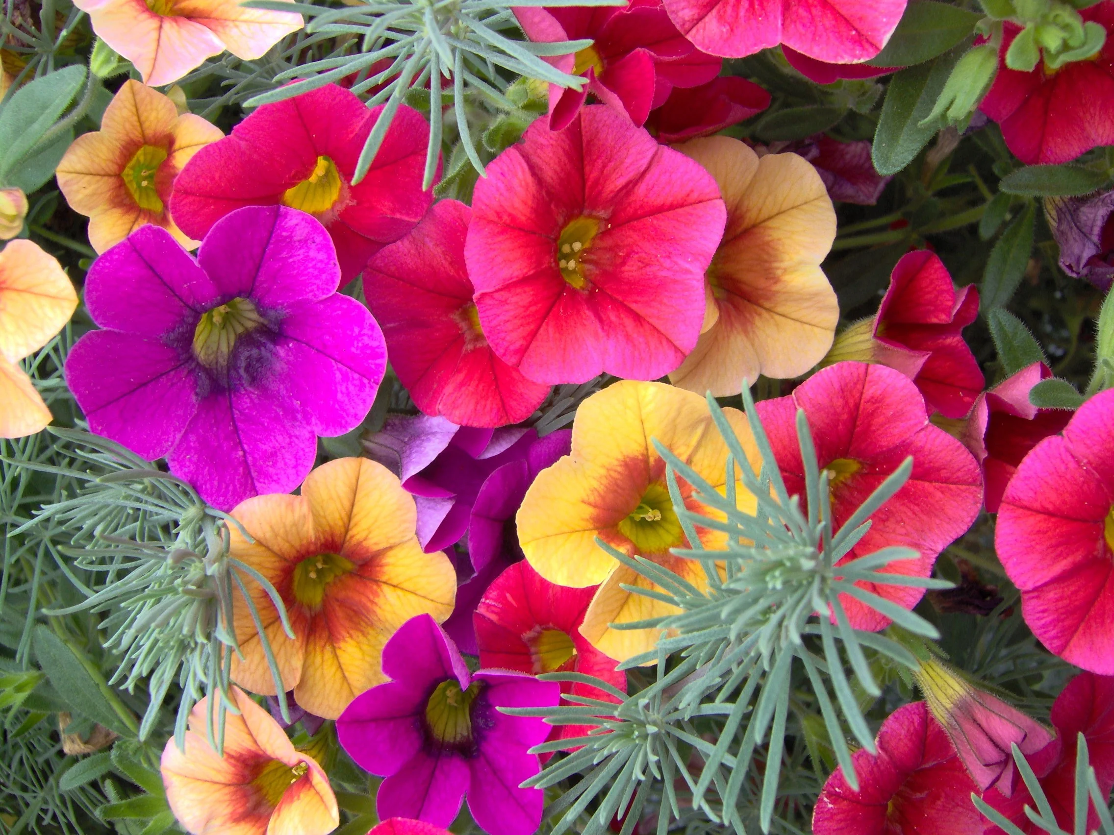 Color Pops with Marianne Binetti