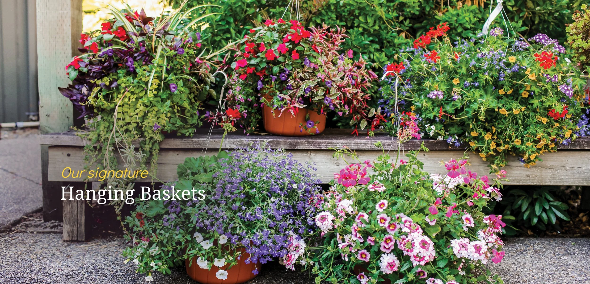 Windmill Gardens Sumner Garden Center and Florist