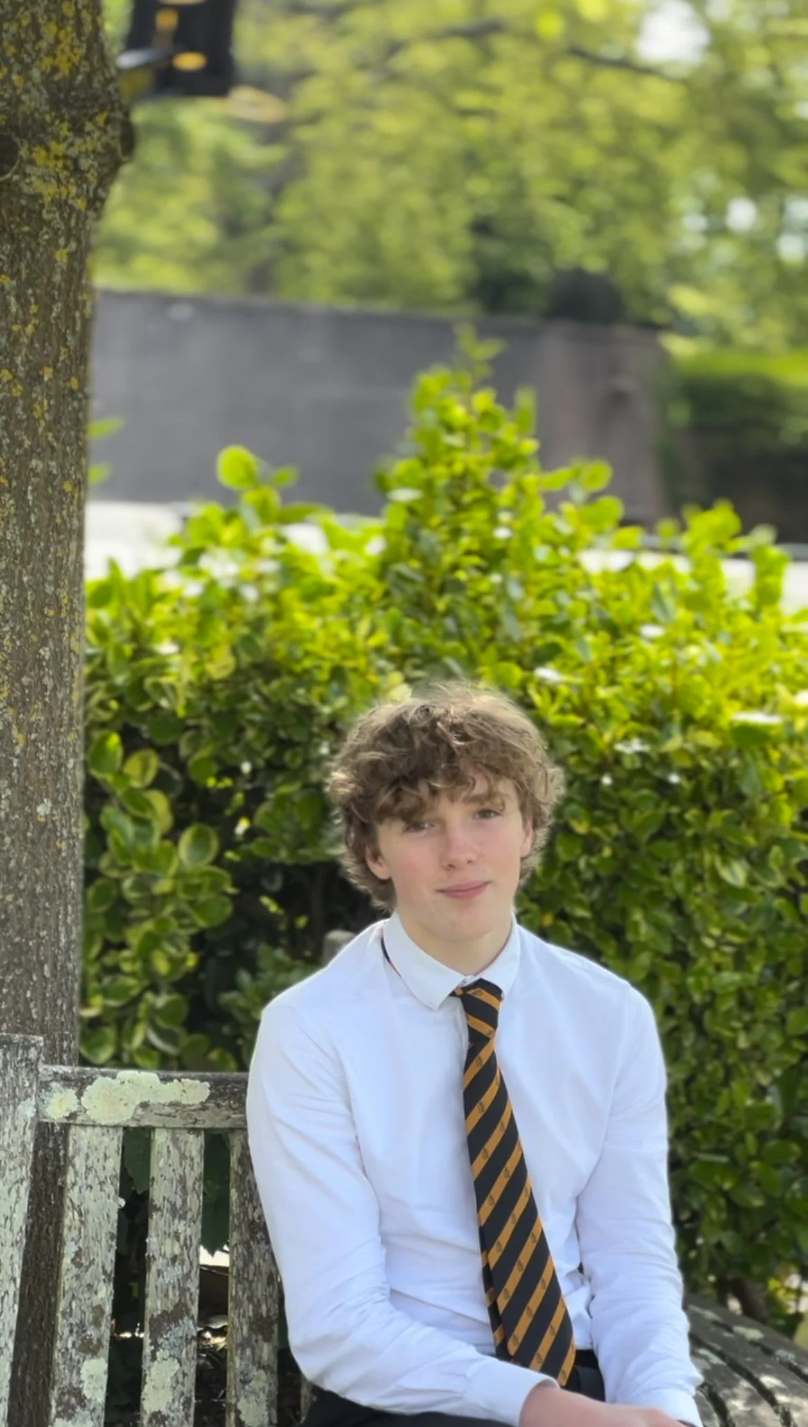 Young man with curly hair wearing a white shirt and a striped tie, sitting on a weathered wooden bench outdoors with green bushes and trees in the background.