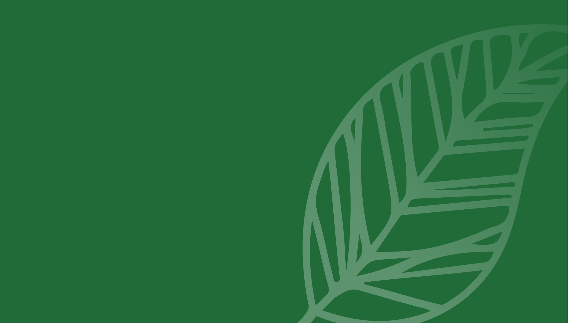 Leaf | About — Leaf