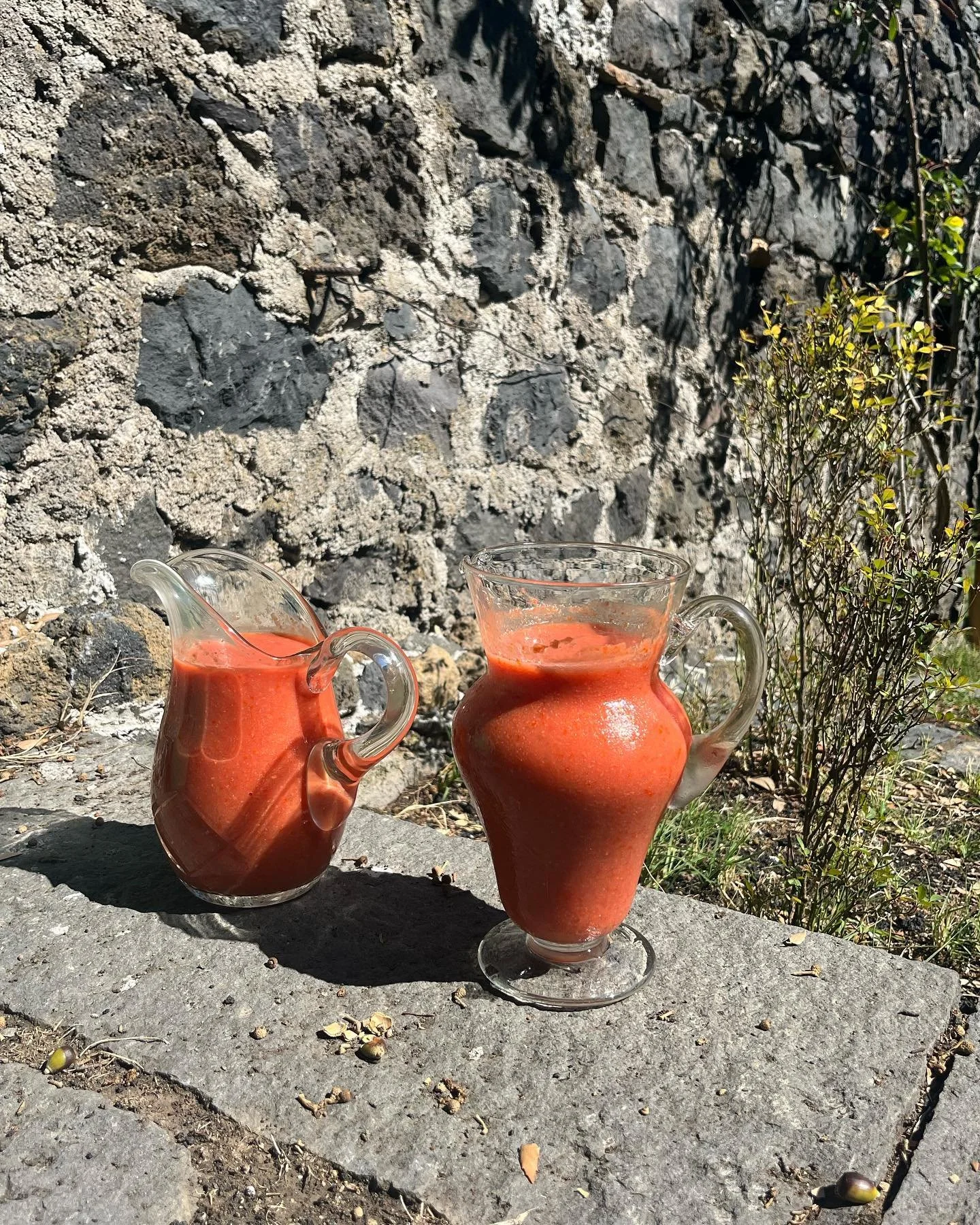 Throwback to Sicily, when I made gazpacho with garlic pangrattato and foraged wood sorrel for @casa.lawa 🍅