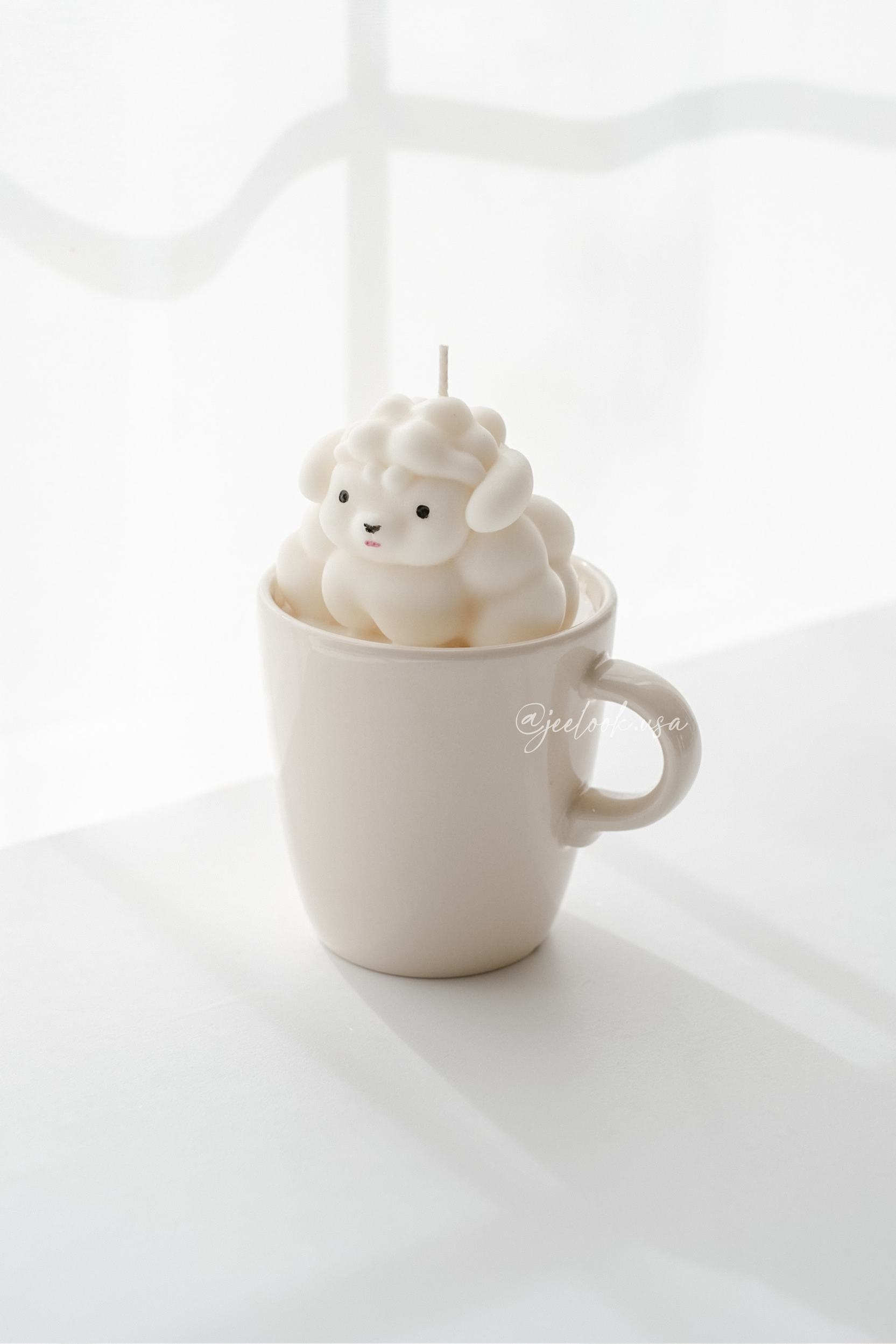 @jeelook.usa - 4.PNG