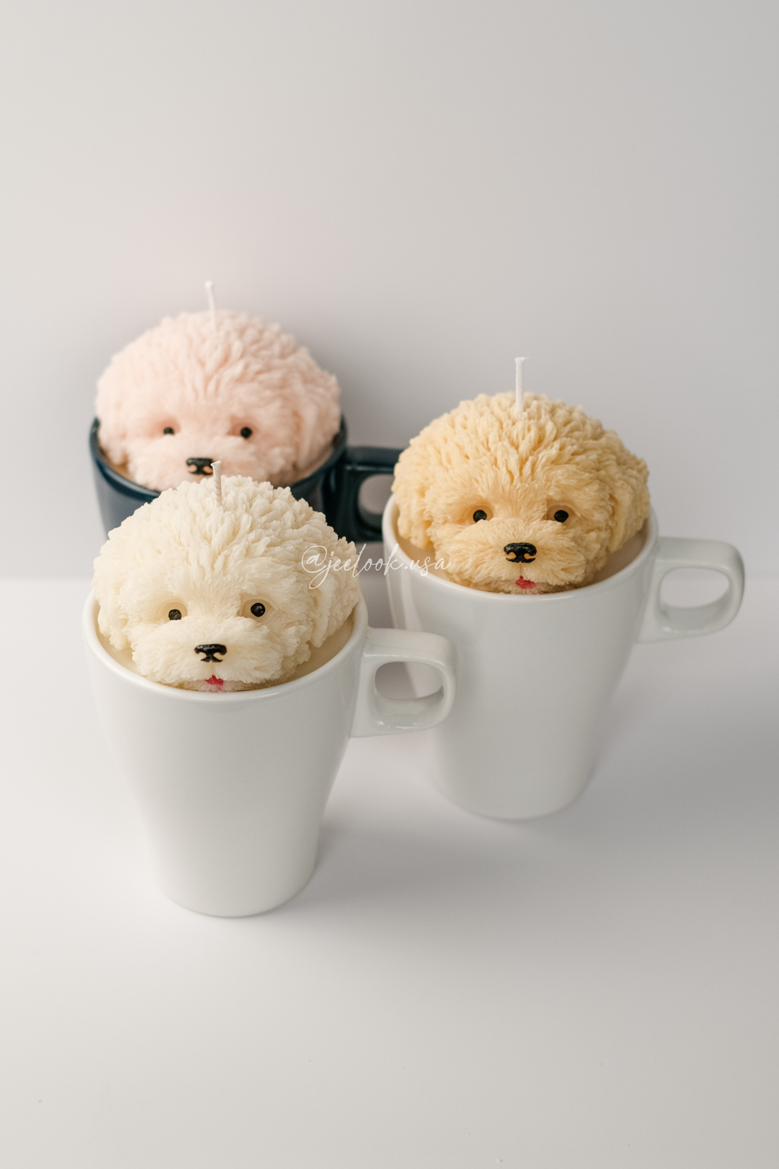 @jeelook.usa - 8.PNG