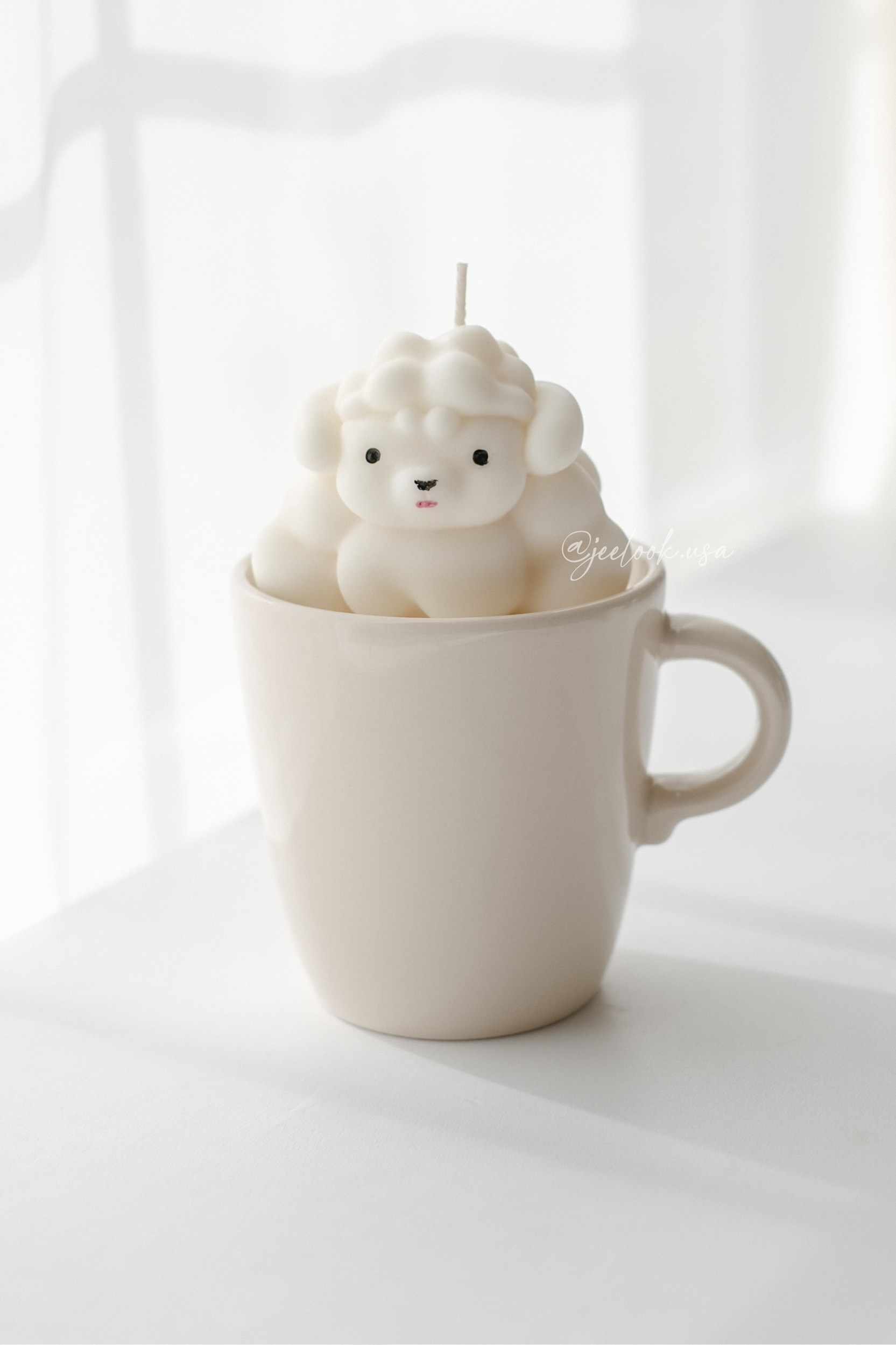 @jeelook.usa - 3.PNG